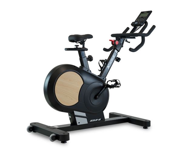 XCALIBUR MAGNETIC H9340