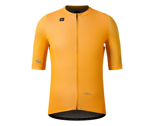 MAILLOT STARK MAN DANDELION